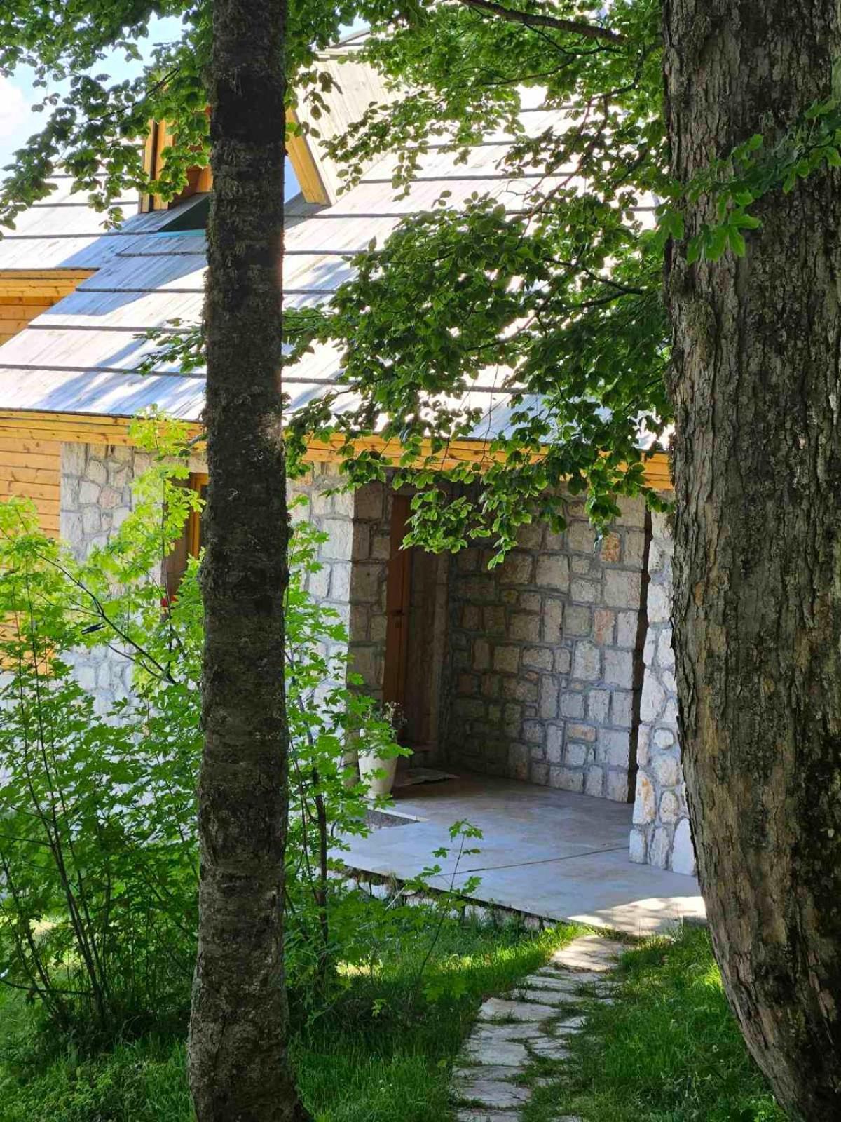 Green Forest Zabljak  Exterior photo